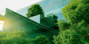 A glass building with tress surrounding